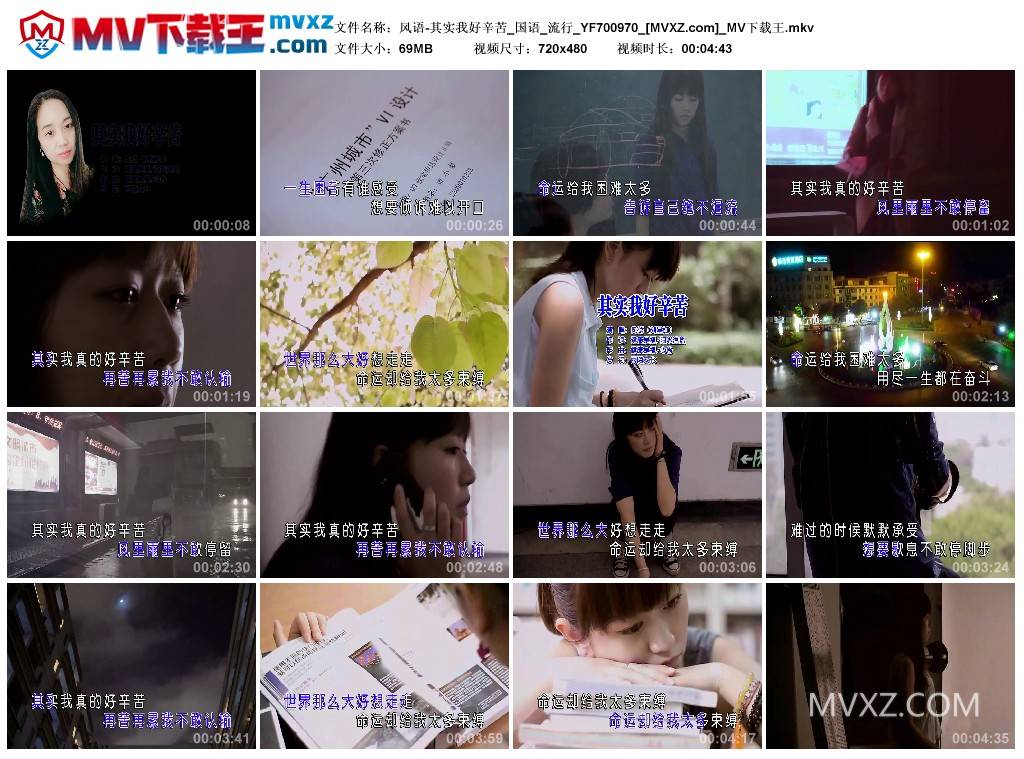 风语-其实我好辛苦_国语_流行_YF700970